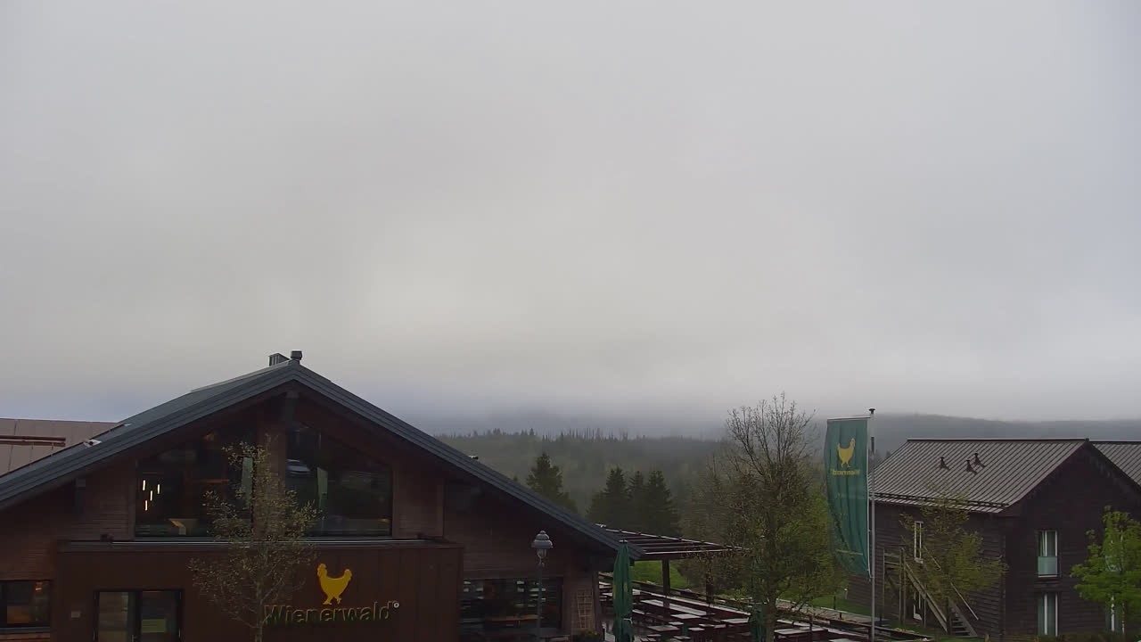 Archived image Webcam Torfhaus in the Harz Mountains