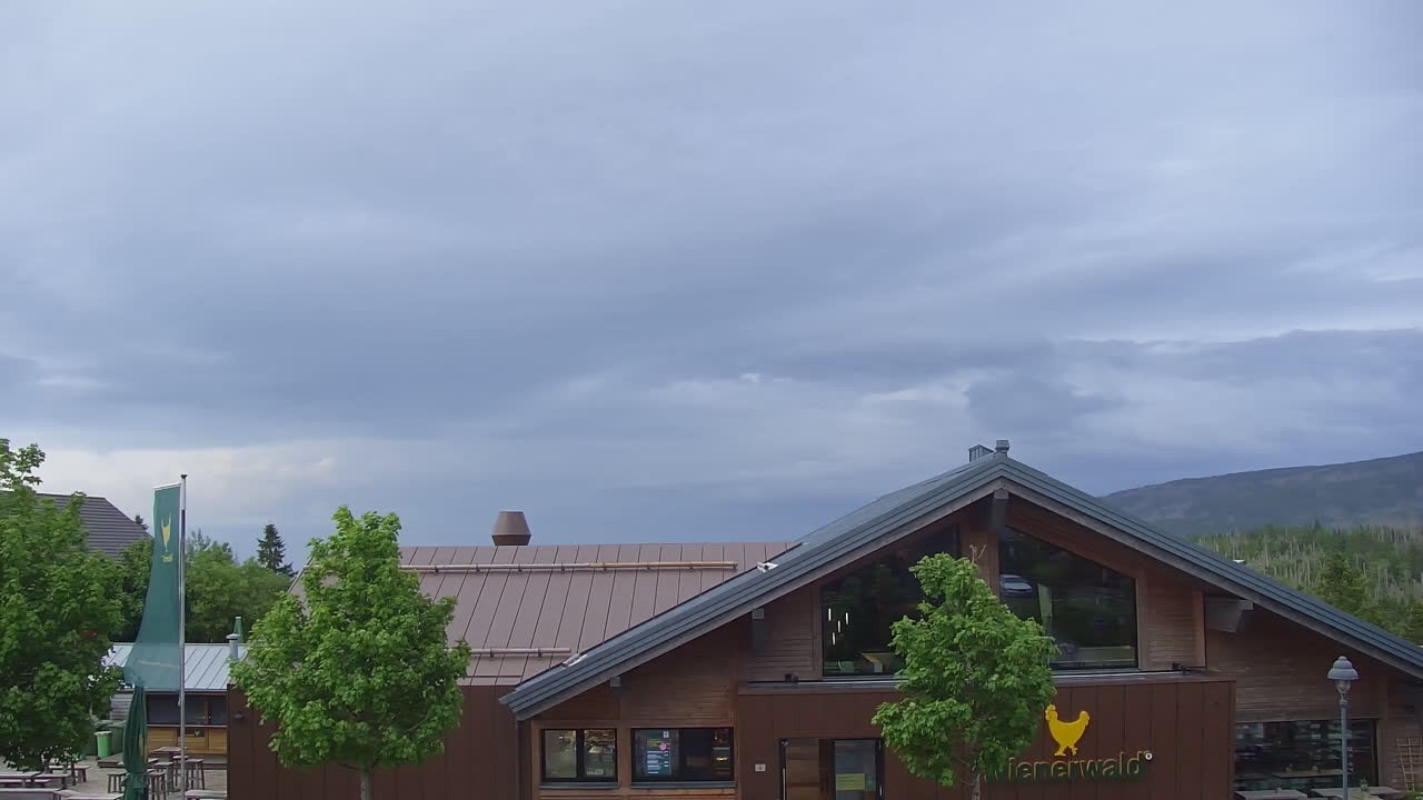Archived image Webcam Torfhaus in the Harz Mountains