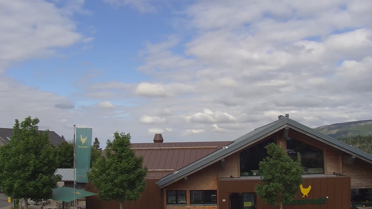 Archived image Webcam Torfhaus in the Harz Mountains