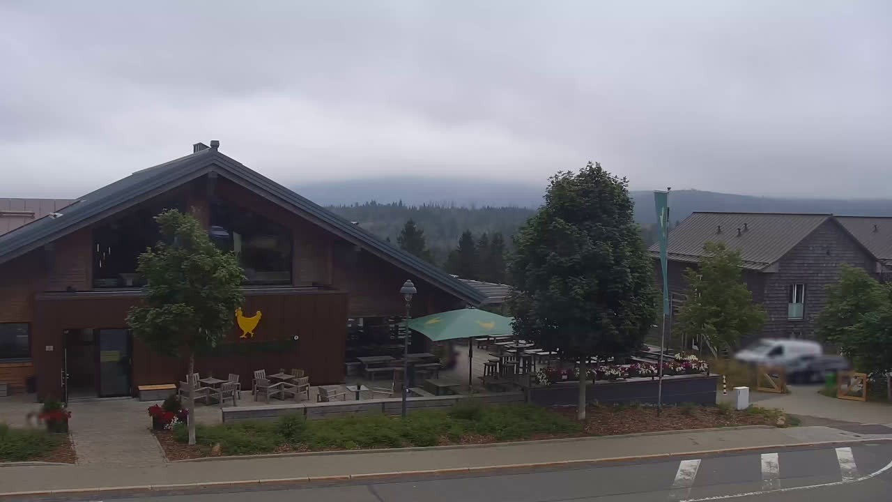 Archiv Foto Webcam Torfhaus im Harz