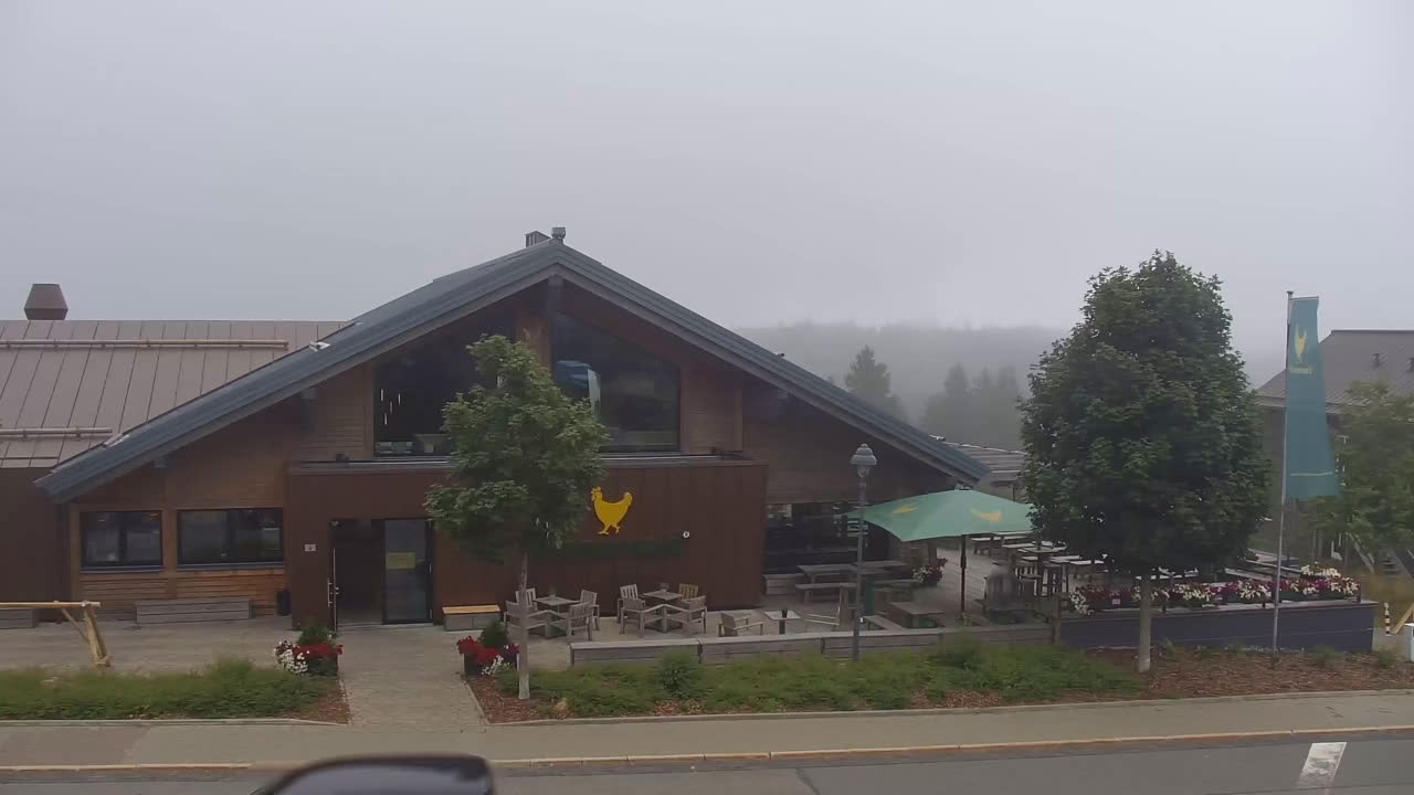 Archiv Foto Webcam Torfhaus im Harz