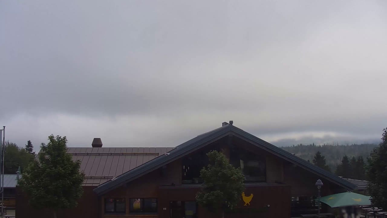 Archiv Foto Webcam Torfhaus im Harz