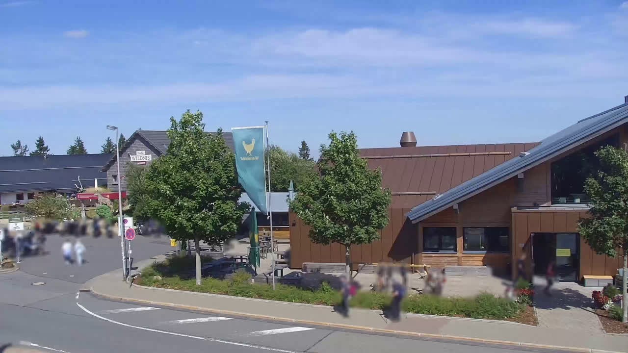 Archived image Webcam Torfhaus in the Harz Mountains