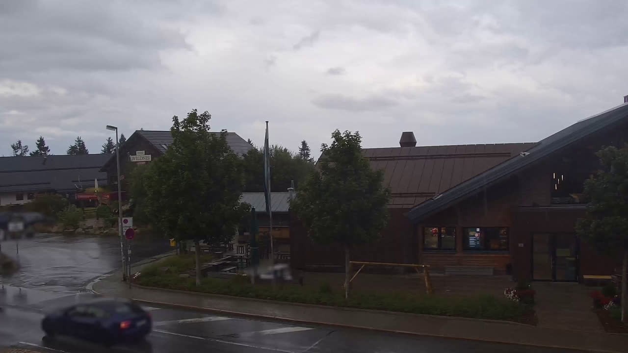Archiv Foto Webcam Torfhaus im Harz