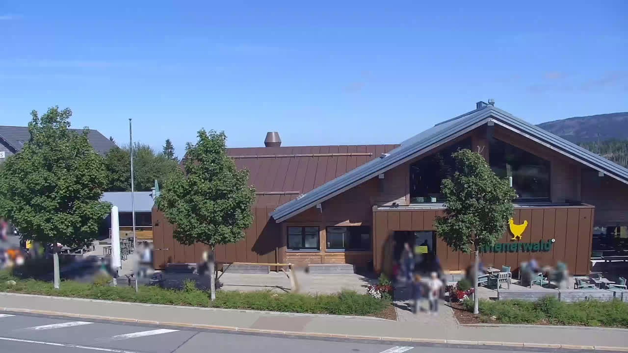 Archiv Foto Webcam Torfhaus im Harz