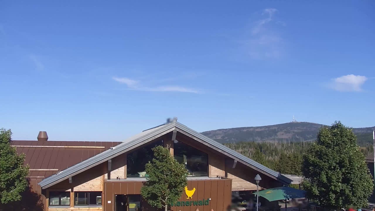 Archiv Foto Webcam Torfhaus im Harz