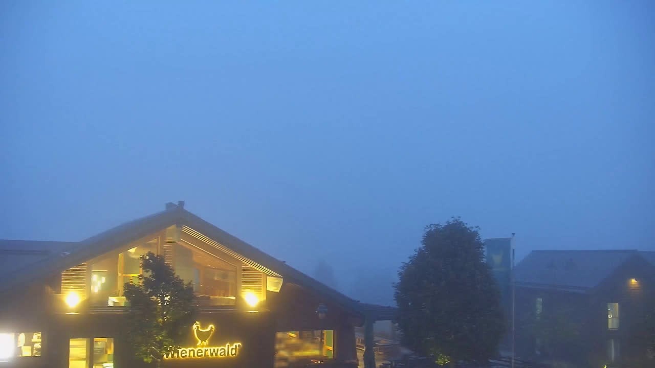 Archiv Foto Webcam Torfhaus im Harz