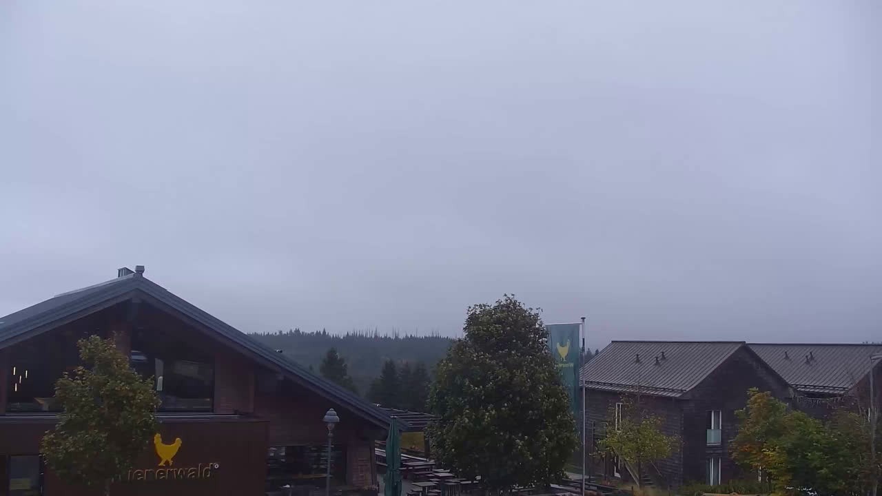 Archiv Foto Webcam Torfhaus im Harz