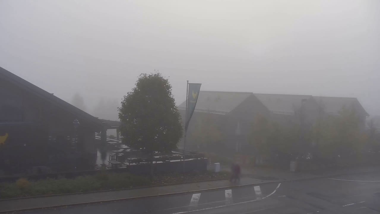 Archiv Foto Webcam Torfhaus im Harz