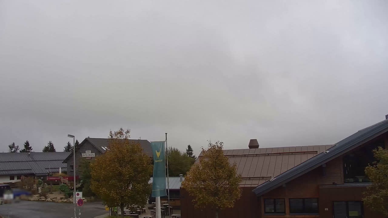 Archiv Foto Webcam Torfhaus im Harz