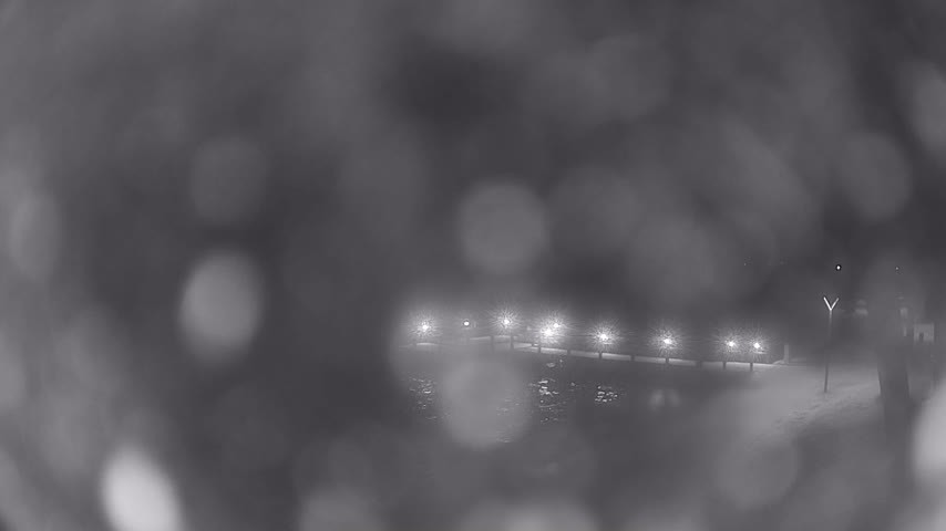 Archiv Foto Webcam Waren: Seeufer am Müritzpalais