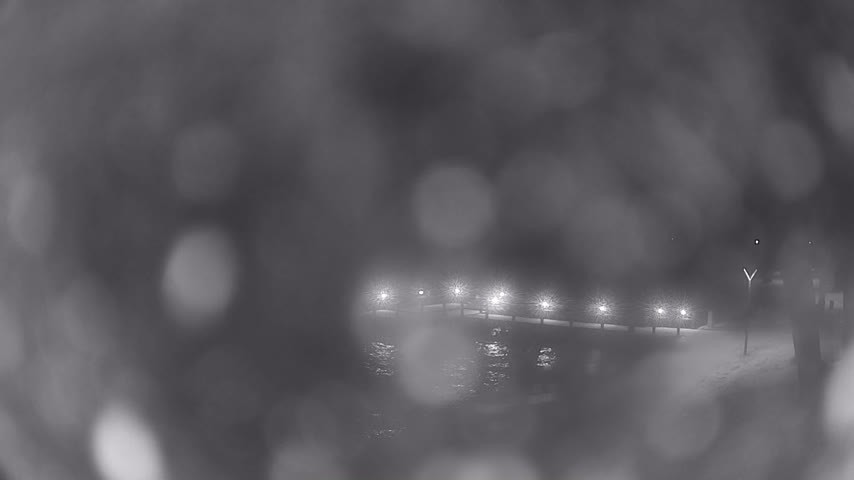 Archiv Foto Webcam Waren: Seeufer am Müritzpalais