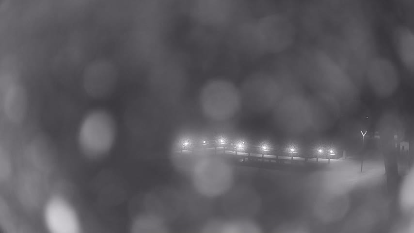 Archiv Foto Webcam Waren: Seeufer am Müritzpalais