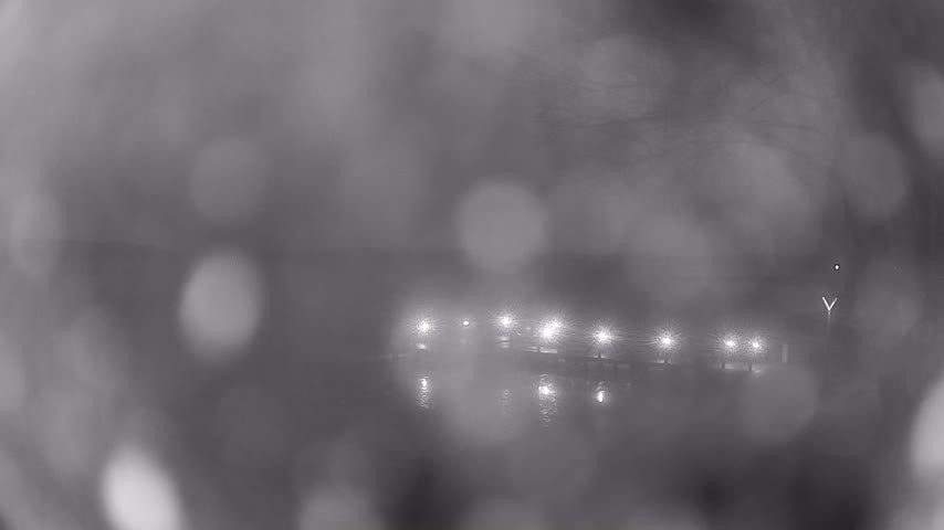 Archiv Foto Webcam Waren: Seeufer am Müritzpalais