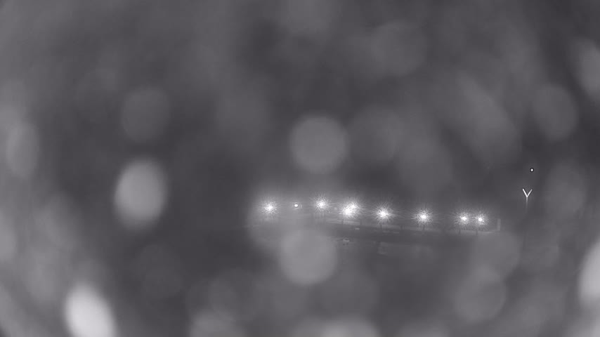 Archiv Foto Webcam Waren: Seeufer am Müritzpalais