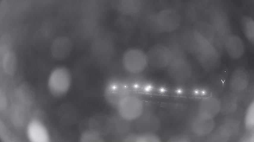 Archiv Foto Webcam Waren: Seeufer am Müritzpalais