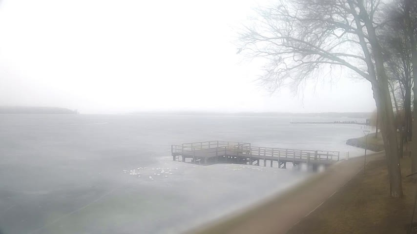 Archiv Foto Webcam Waren: Seeufer am Müritzpalais