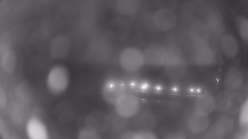 Archiv Foto Webcam Waren: Seeufer am Müritzpalais