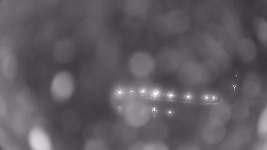 Archiv Foto Webcam Waren: Seeufer am Müritzpalais