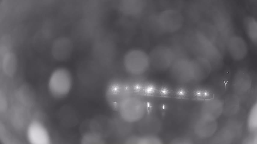 Archiv Foto Webcam Waren: Seeufer am Müritzpalais