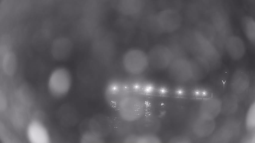 Archiv Foto Webcam Waren: Seeufer am Müritzpalais