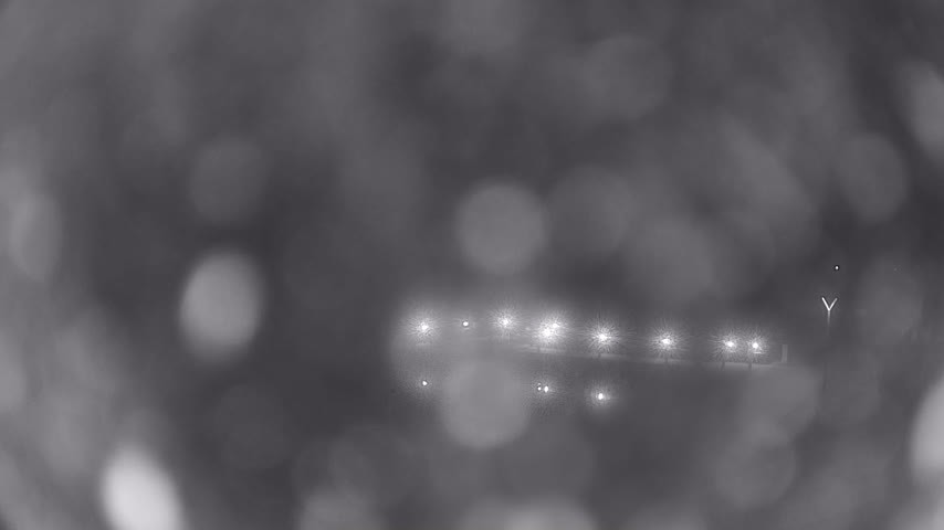 Archiv Foto Webcam Waren: Seeufer am Müritzpalais