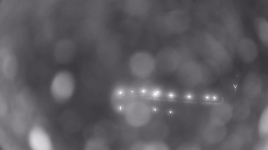 Archiv Foto Webcam Waren: Seeufer am Müritzpalais