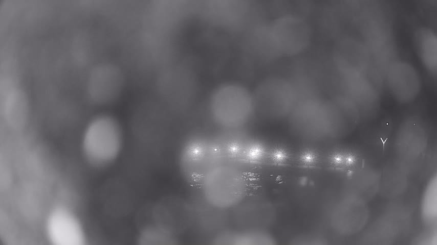 Archiv Foto Webcam Waren: Seeufer am Müritzpalais