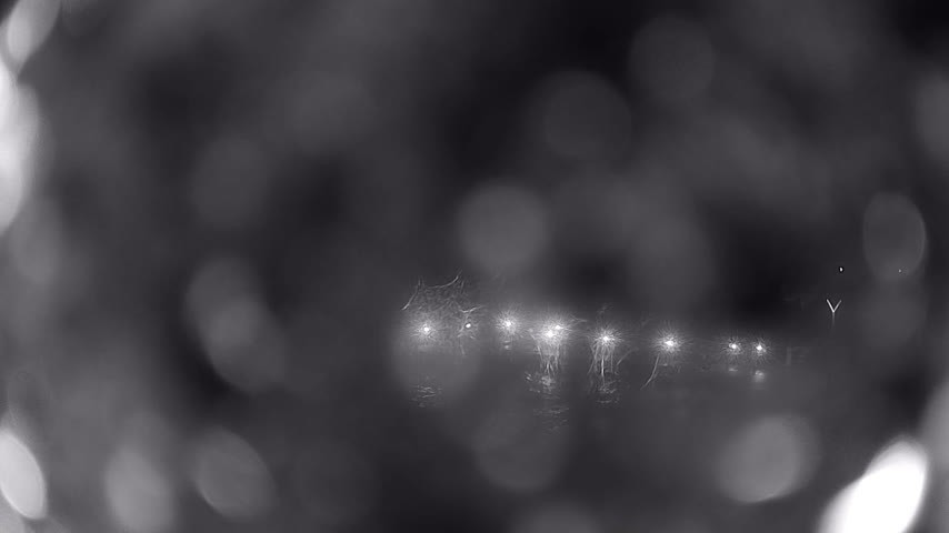 Archiv Foto Webcam Waren: Seeufer am Müritzpalais