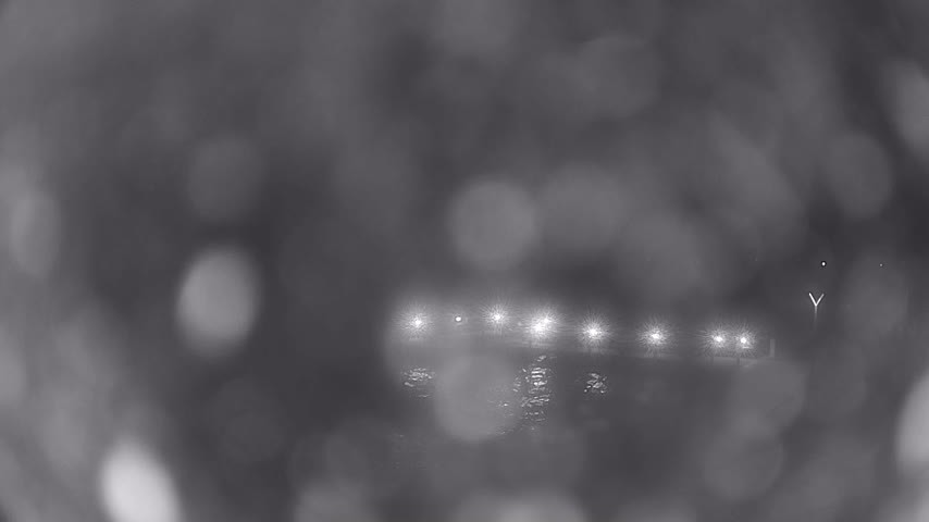 Archiv Foto Webcam Waren: Seeufer am Müritzpalais