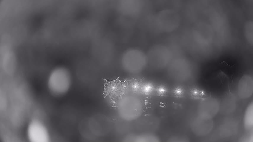 Archiv Foto Webcam Waren: Seeufer am Müritzpalais