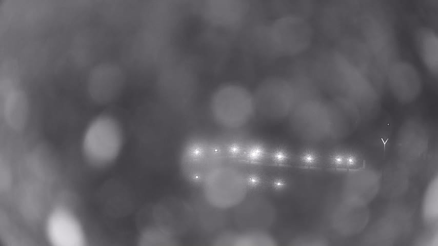 Archiv Foto Webcam Waren: Seeufer am Müritzpalais