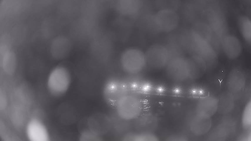 Archiv Foto Webcam Waren: Seeufer am Müritzpalais