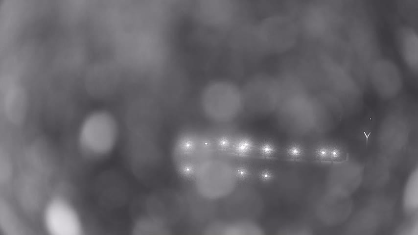 Archiv Foto Webcam Waren: Seeufer am Müritzpalais