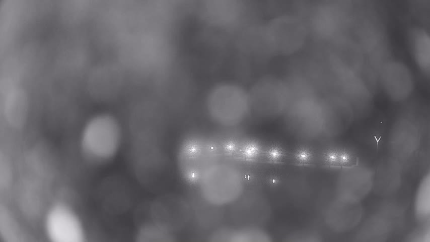 Archiv Foto Webcam Waren: Seeufer am Müritzpalais