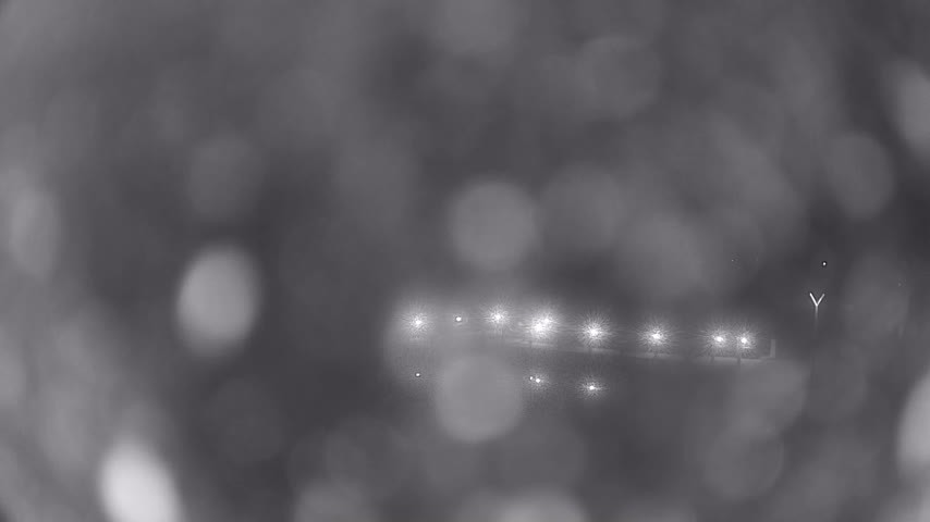 Archiv Foto Webcam Waren: Seeufer am Müritzpalais