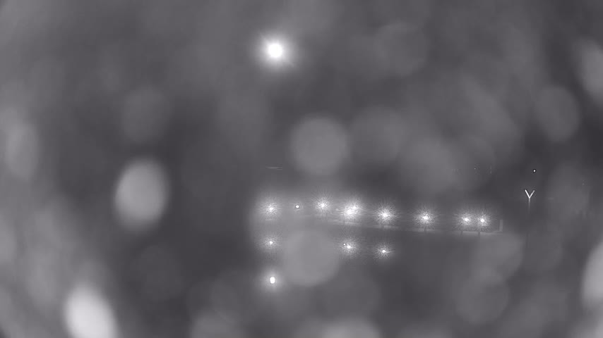 Archiv Foto Webcam Waren: Seeufer am Müritzpalais