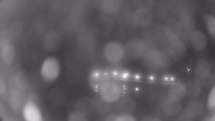 Archiv Foto Webcam Waren: Seeufer am Müritzpalais