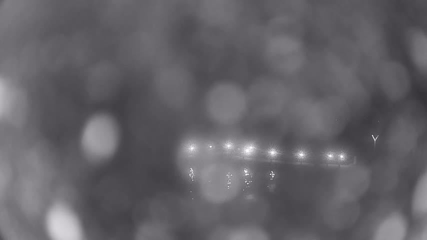 Archiv Foto Webcam Waren: Seeufer am Müritzpalais