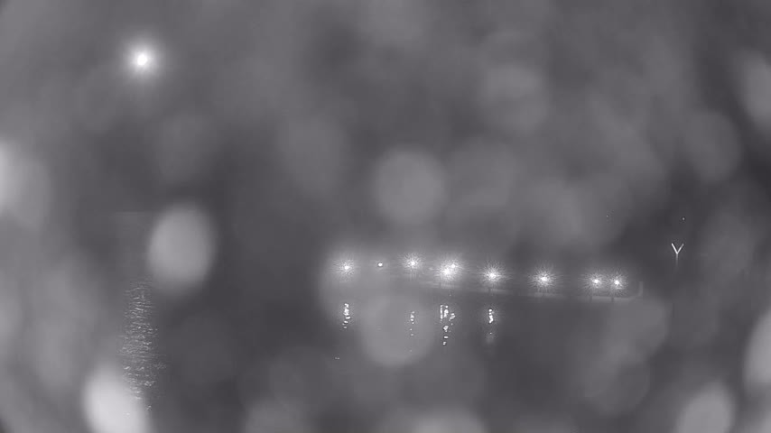 Archiv Foto Webcam Waren: Seeufer am Müritzpalais
