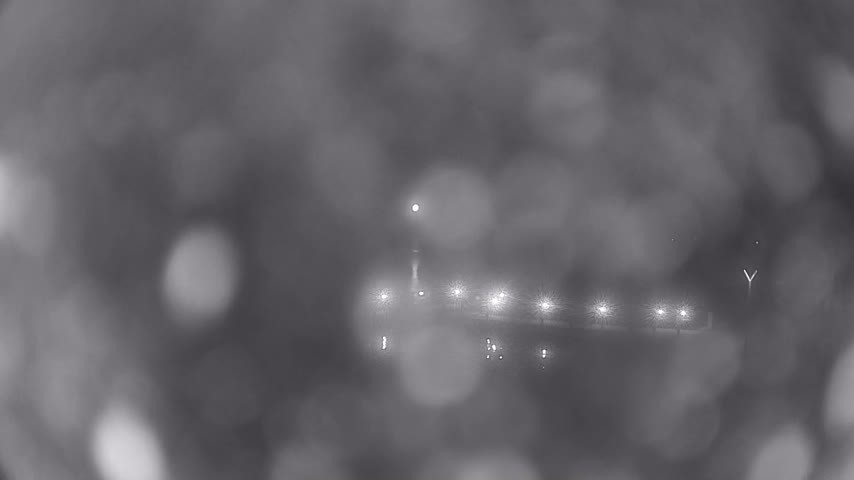 Archiv Foto Webcam Waren: Seeufer am Müritzpalais