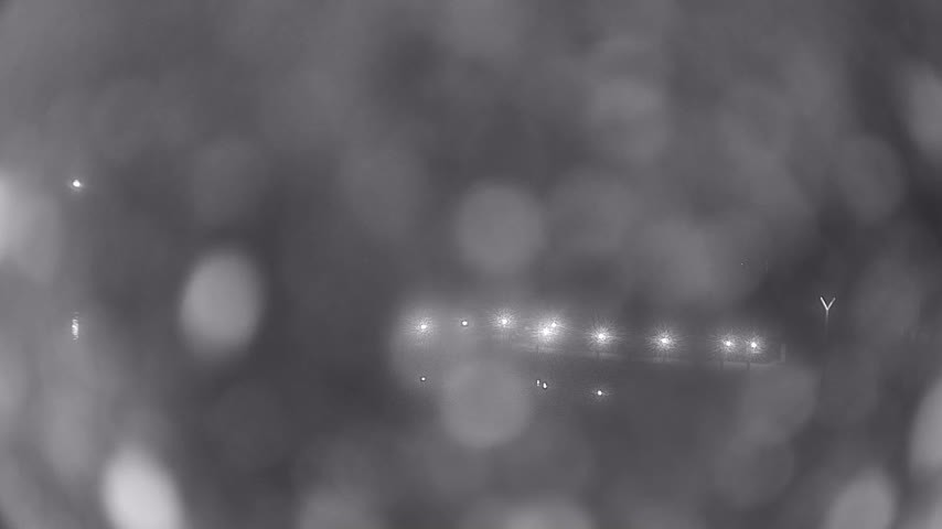 Archiv Foto Webcam Waren: Seeufer am Müritzpalais