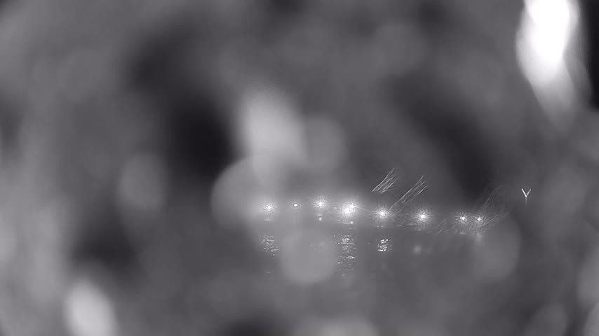 Archiv Foto Webcam Waren: Seeufer am Müritzpalais