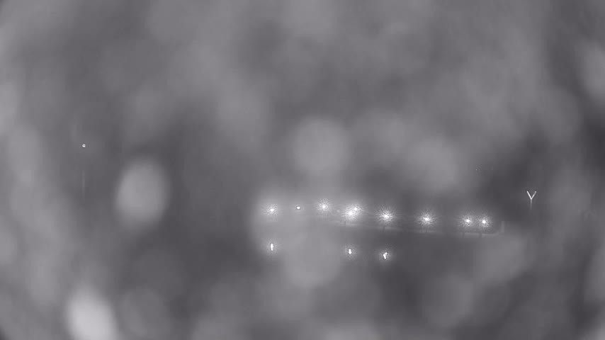 Archiv Foto Webcam Waren: Seeufer am Müritzpalais