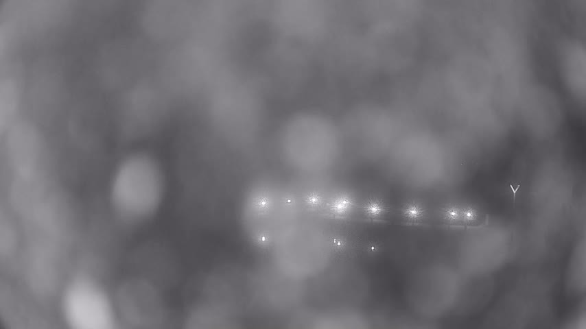 Archiv Foto Webcam Waren: Seeufer am Müritzpalais