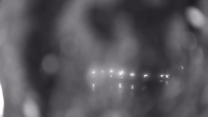 Archiv Foto Webcam Waren: Seeufer am Müritzpalais