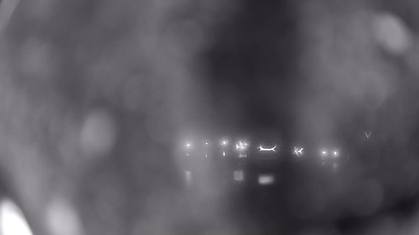 Archiv Foto Webcam Waren: Seeufer am Müritzpalais