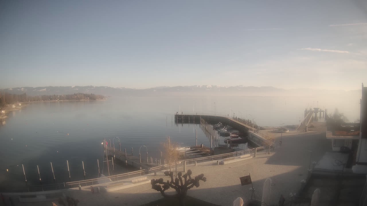 Archiv Foto Webcam Wasserburg am Bodensee: Hafen