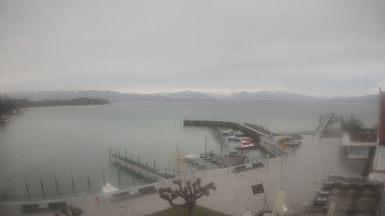 Archiv Foto Webcam Wasserburg am Bodensee: Hafen