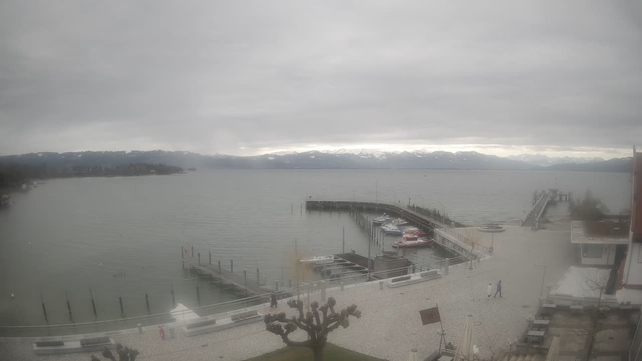 Archiv Foto Webcam Wasserburg am Bodensee: Hafen